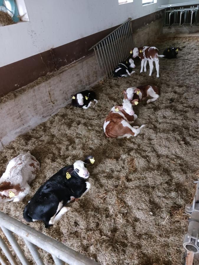 Ferienwohnung Eder Хохфилцен Екстериор снимка